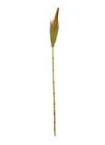 180cm Coco Leaf & Comb Deco Stick