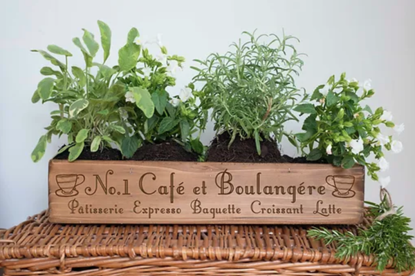Cafe No 1 Boulangerie - Planter Box
