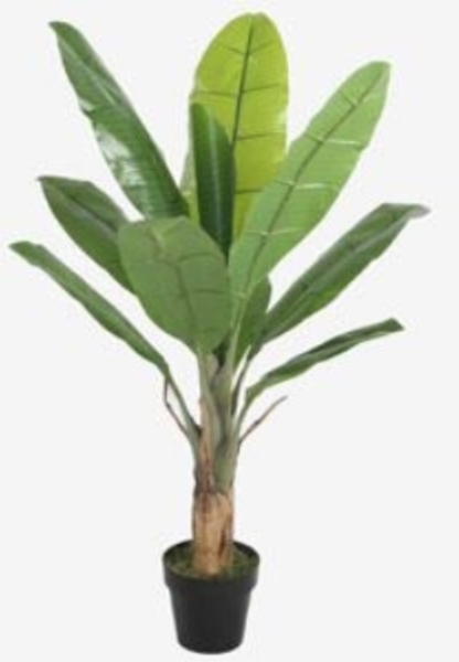 Banana Tree With Pot 130cm