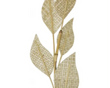 5 Leaf Pandan Deco Stick - Natural - 70cm