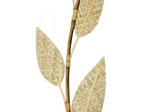 5 Leaf Pandan Deco Stick - Natural - 120cm