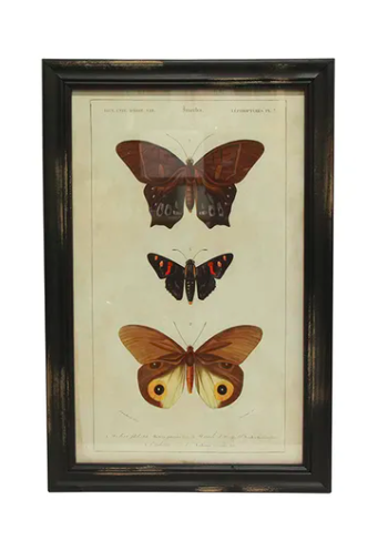 Butterfly Wall Art