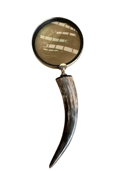 Magnifier horn handle