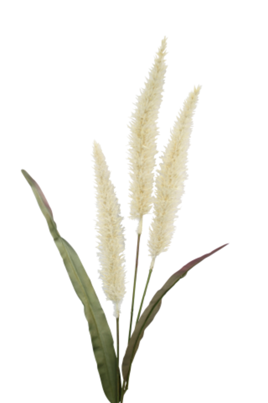 Fountain Grass - Cream - 94cm