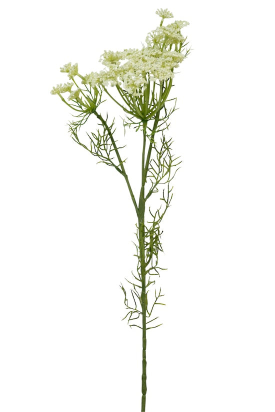 Dill Spray - 89cm