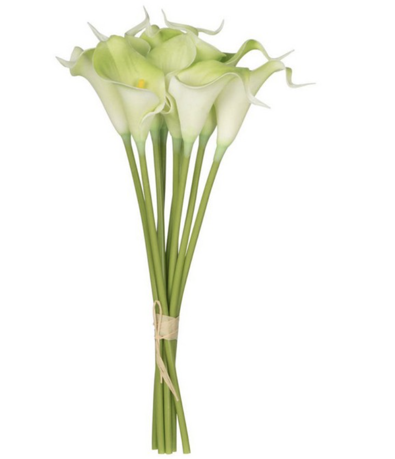 Cala lily Green