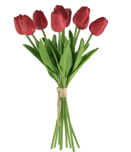 Red Tulip Stem