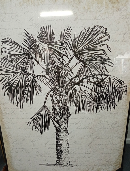 Palms Canvas Framed Print-Black