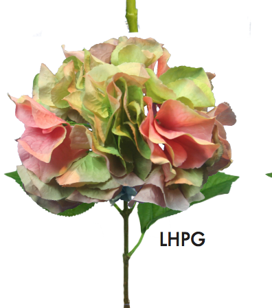 Large Petal Hydrangea