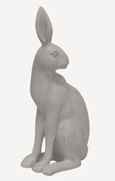 Harold the Hare Turning Grey