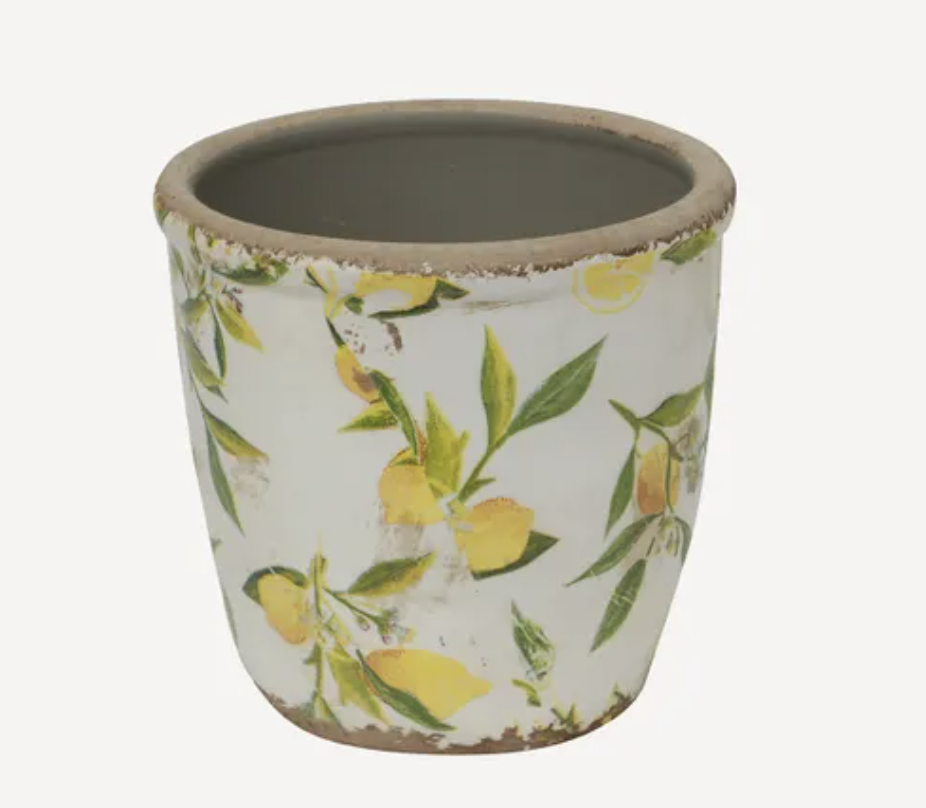 Botanical Lemon Pot S