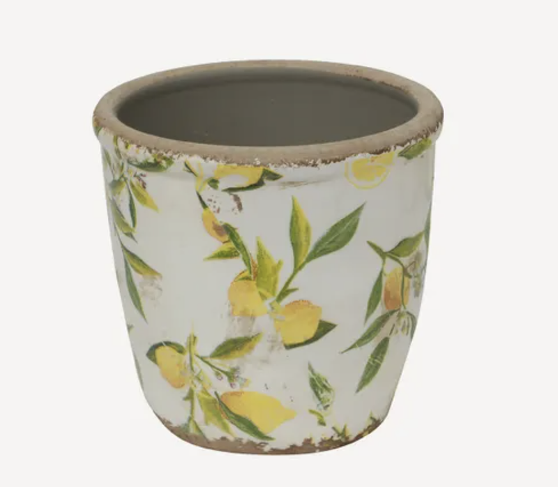 Botanical Lemon Pot S