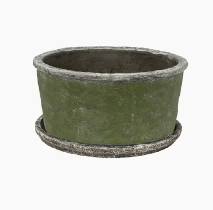 Evergreen Wide Planter Small