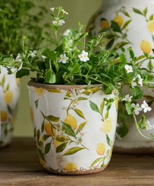 Botanical Lemon Pot S