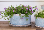 Sea Blue Wide Plant Pot L