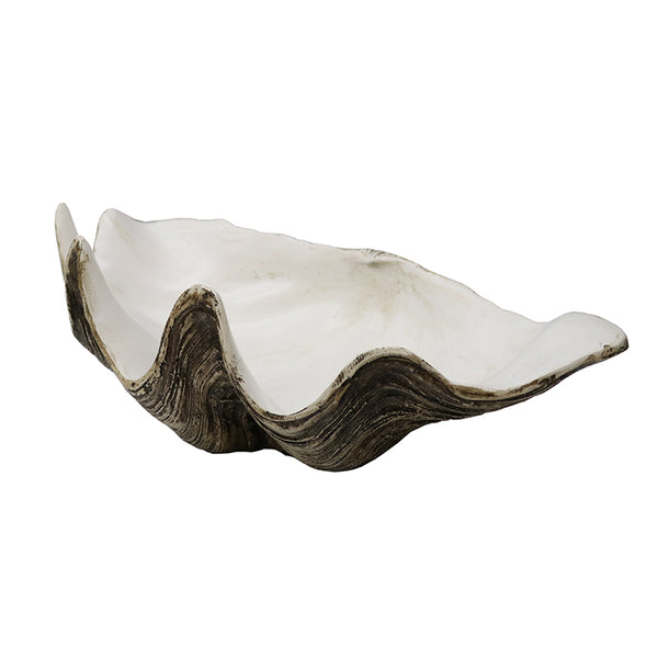 Resin Clam Shell - Large