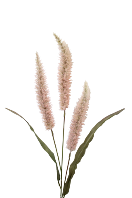 Fountain Grass - Pink - 94cm