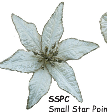 Small Star Poinsettia