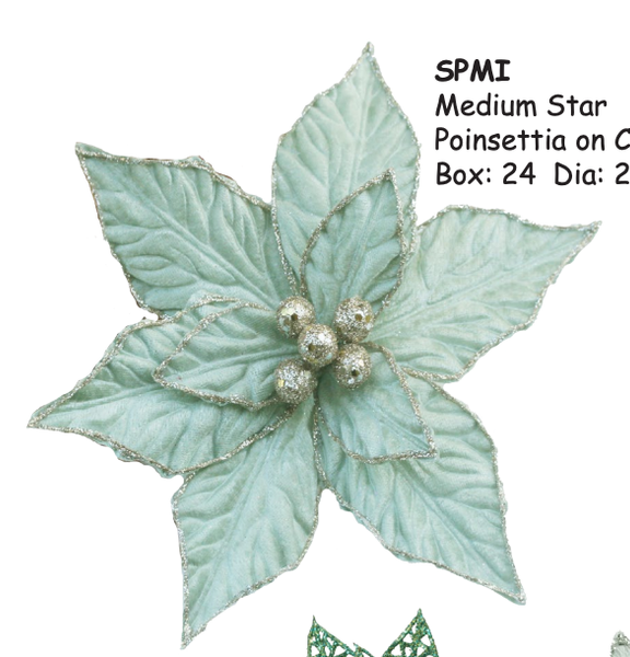 Medium Star Pointsettia