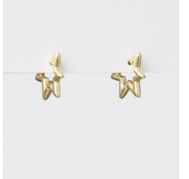 Earrings gold star