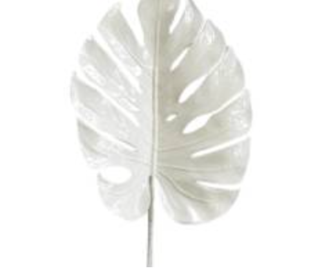 White Split Philo Leaf 74cm