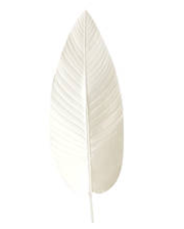 White Canna Leaf 97cm