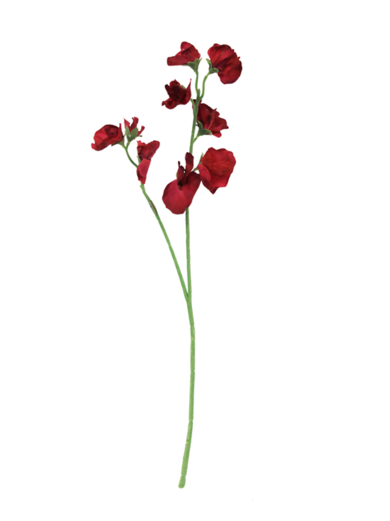 Sweet Pea Beauty - 40cm