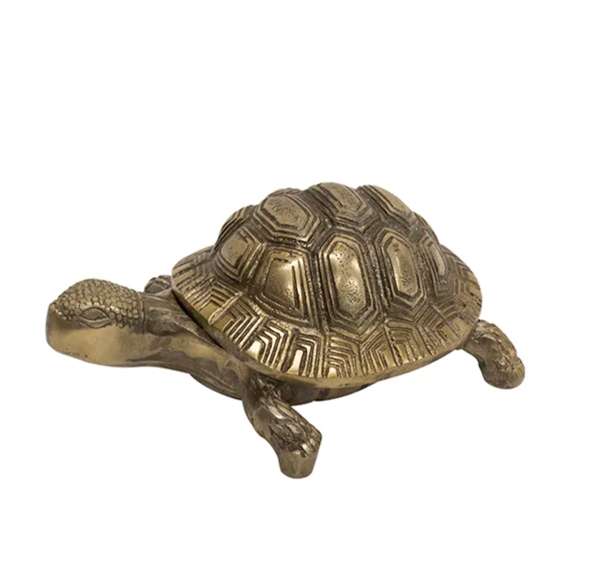 Antique Turtle Box - Gold