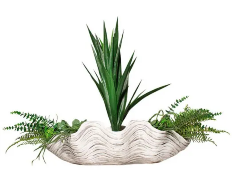 Shell Planter