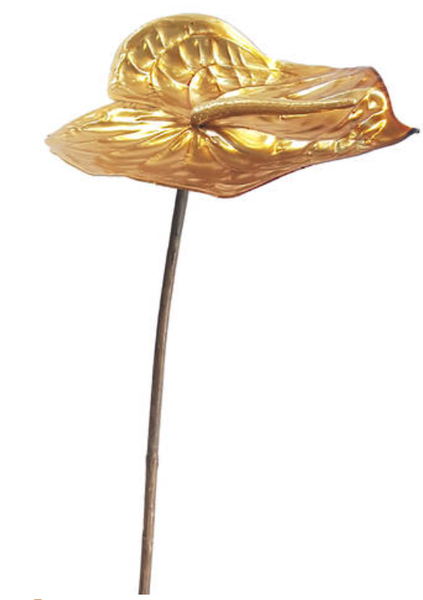 Metallic Anthurium Gold
