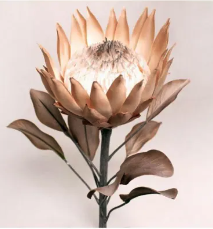 Protea Large Head - Caramel