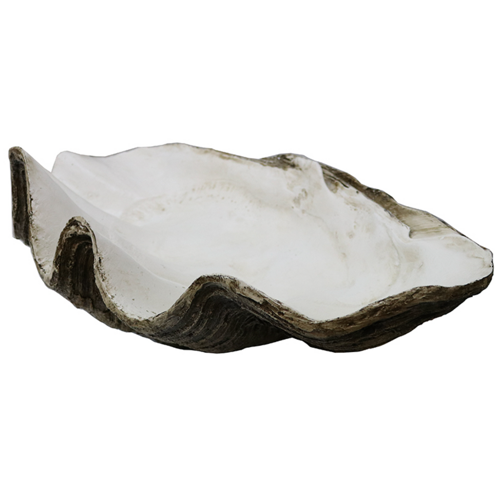 Resin Clam Shell - X Large