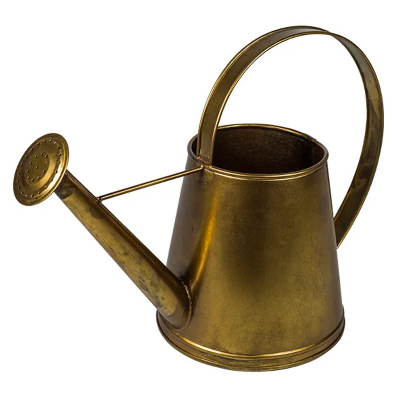 Alloy Watering Can - Gold