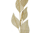 5 Leaf Pandan Deco Stick - Natural - 70cm